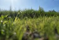 Exklusiv! Einzigartiges Panorama-Grundstück in Sackgassenlage SONNEN- &amp; RUHELAGE kombiniert mit BESTER Anbindung &amp; GLASFASERANSCHLUSS