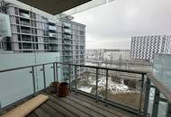 Moderne 3 Zimmer mit Balkon (teilmöbliert) und vielen Extras im Haus!