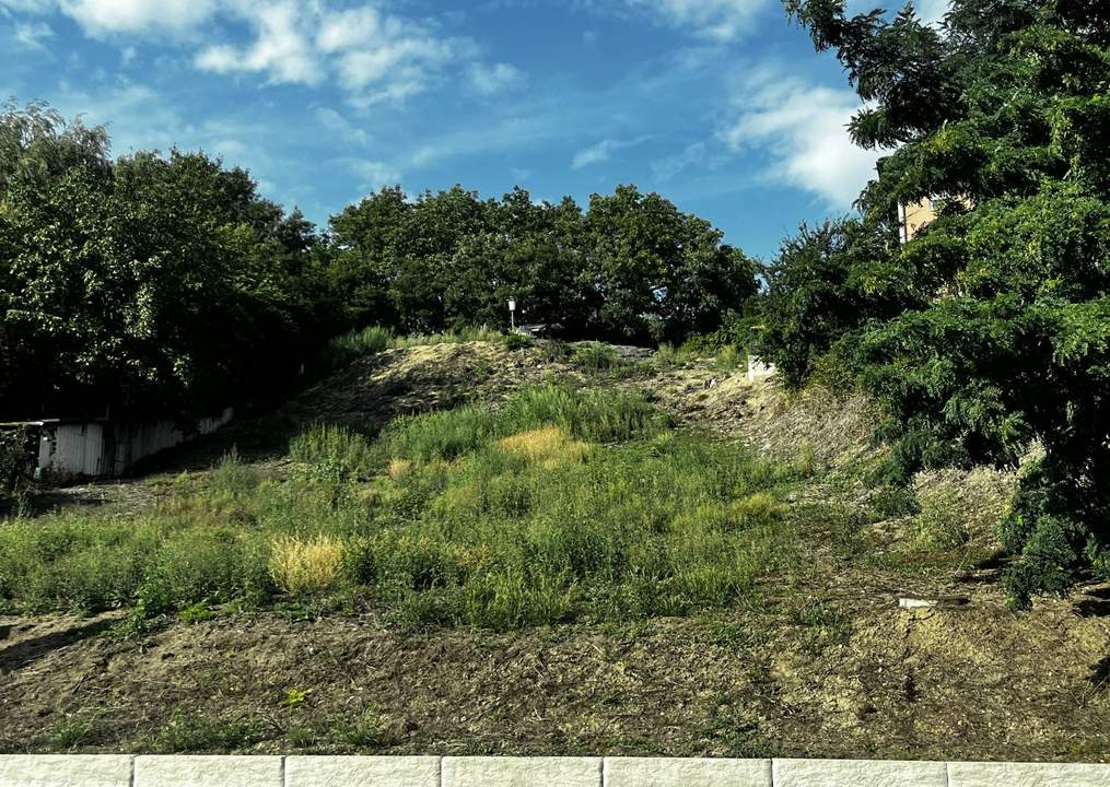 Bauland in Grieskirchen – 1.312 m² ohne Bauzwang