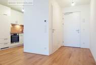 Graumannpark | Küche + Südwest Balkon