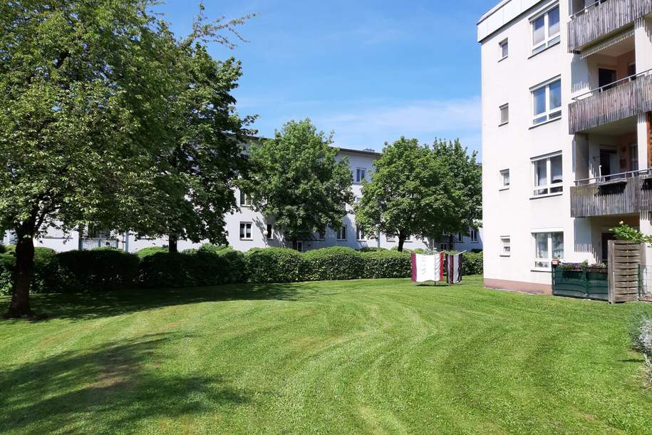 Pensionisten aufgepasst! Perfektes, altersgerechtes Wohnen im Grünen! Barrierefreie Dusche! Entspannen auf der Terrasse, Ruhe genießen und alle Annehmlichkeiten einer hervorragenden Infrastruktur nutzen können!, Wohnung-miete, 450,08,€, 4400 Steyr(Stadt)
