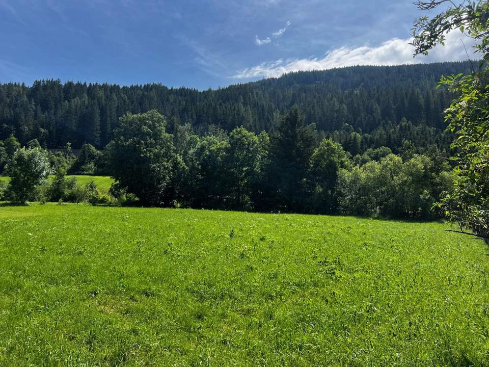 Seltenes Grundstück in schöner Lage