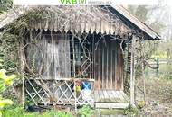 Charmantes Haus in Enns mit Wintergarten &amp; idyllischem Grünblick!