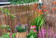 85 m² Terrassen mit absolutem Grünblick | ZELLMANN IMMOBILIEN