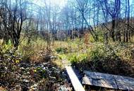 Landhaus, Park und viel Wald