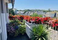 Terrassewohnung am Fuße des Rosenhügels