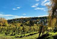 EINE DER SCHÖNSTEN LAGEN WIENS! SALMANNSDORFER ERSTBEZUG MIT 4 ZIMMERN UND GARAGE