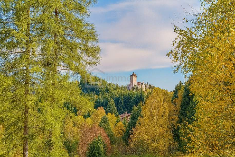 Zwischen Burgblick und Waldesruh – ein Zuhause mit Geschichte, Haus-kauf, 365.000,€, 3911 Zwettl