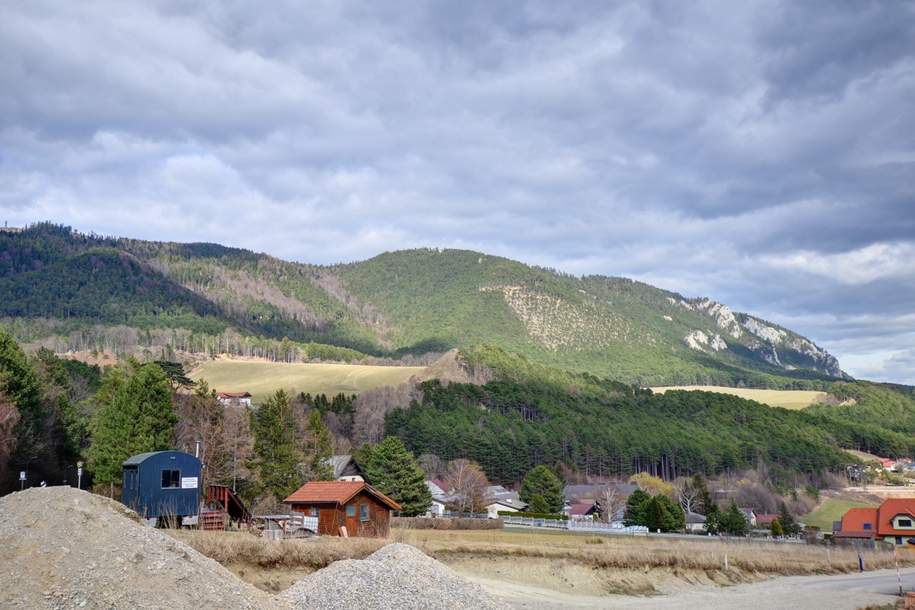 Gründstück mit Aussicht im Schneebergland, Grund und Boden-kauf, 118.000,€, 2733 Neunkirchen