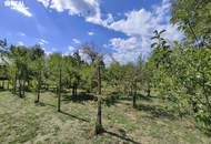 Außergewöhnliches Naturparadies in Bad Vöslau