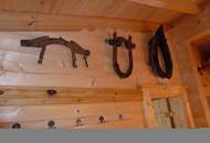 Schöne Blockhäuser in Traumlage in Gröbming Winkl!