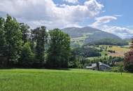 Grundstück mit Seeblick in der Oststeiermark.