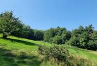 BAUGRUNDSTÜCKE - NEUPARZELLIERUNG IN SCHÖNER RUHELAGE