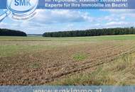 Acker bei Maissau - 3,42 ha landwirtschaftliche Nutzfläche!