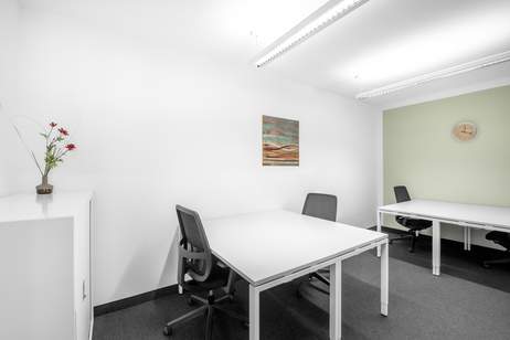 Flexible Arbeitsplätze in Regus City Tower, Gewerbeobjekt-miete, 8020 Graz(Stadt)