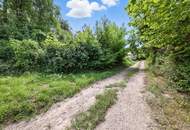 Sonniges Grundstück in grüner Ruhelage – Unverbaubar und ideal für Ruhesuchende!