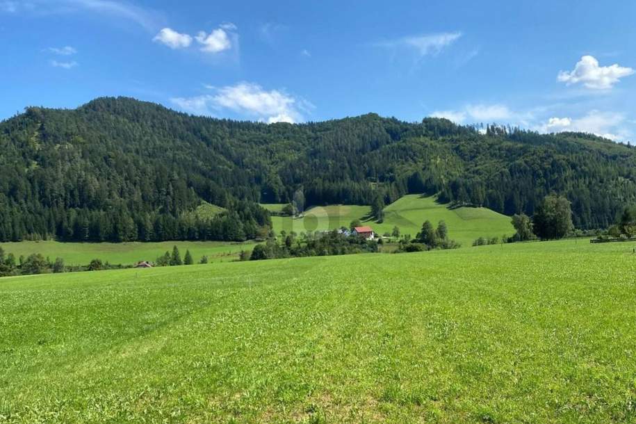 BAUEN STATT KOMPROMISSE EINGEHEN ? SONNIGER, EBENER UND VOLL AUFGESCHLOSSENER TRAUM-BAUGRUND IN RUHELAGE., Grund und Boden-kauf, 3335 Steyr-Land