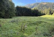 Zwei Freilandflächen mit vielseitiger landwirtschaftlicher Nutzung in Sautens!