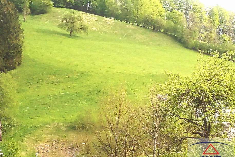 Geldanlage in Grund und Boden in Waidhofen an der Ybbs, Grund und Boden-kauf, 25,€, 3340 Waidhofen an der Ybbs(Stadt)