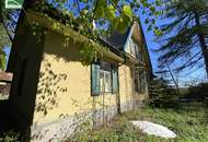 Aus alt mach neu - Historisches Einfamilienhaus in Alleinlage am Hügel in Bad Großpertholz mit großem Garten. - WOHNTRAUM