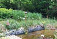 Geräumiges Einfamilienhaus ohne direkte Nachbarn