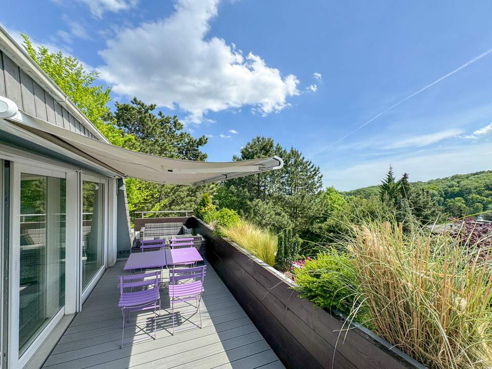 Fantastische 3-Zimmer Wohnung mit Panorama-Blick in den Pötzleinsdorfer Schloßpark