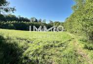 Erholung pur im eigenen Wald mit Bach und Wiesen nähe Amstetten