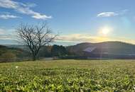 Ihr Platz für Visionen – Grundstück mit Panorama in der Steiermark! Idyllisch & unvergleichlich! VEREINBAREN SIE JETZT IHREN BESICHTIGUNGSTERMIN!
