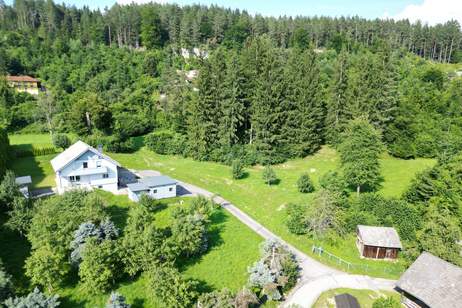 Weitläufiges Anwesen mit Panoramablick auf die Karawanken, Haus-kauf, 870.000,€, 9220 Villach Land