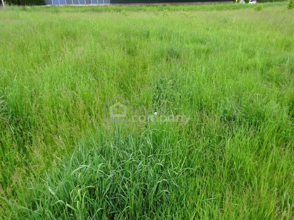 Traumhaftes Grundstück für 2 Wohneinheiten in Horn: 929m² mit Grünblick/ NEUER PREIS 189.000 €!