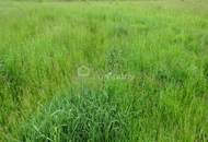 Traumhaftes Grundstück für 2 Wohneinheiten in Horn: 929m² mit Grünblick/ NEUER PREIS 189.000 €!