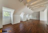 Exklusiv und perfekt aufgeteilte Dachgeschoßwohnung 92 m², 2 Zimmer + 16 m² südostseitige Terrasse in zentraler Lage, Speisinger Straße, Klimatisiert