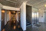 Raum für Visionen: Ateliers, Büros &amp; Lagerflächen zu mieten!