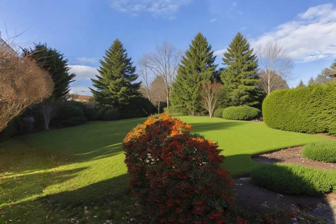 Echtes Bauland in Döbling – kein Kleingarten. Und das zu einem fairen Preis