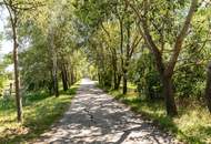 BAULAND in Neusiedl am See – Wohnen im Grünen mit bester Lebensqualität