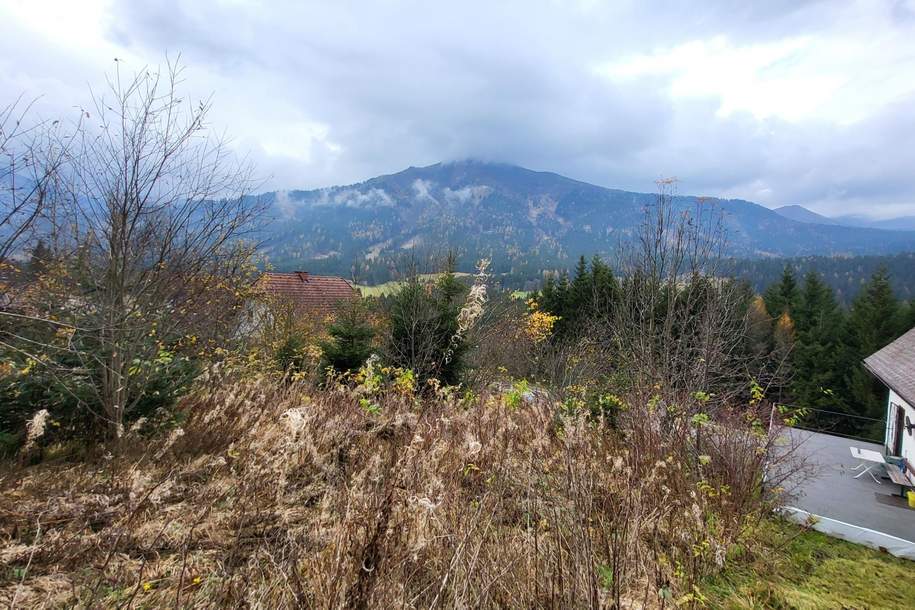 vielleicht der ideale Baugrund für ihr Eigenheim, Grund und Boden-kauf, 85.000,€, 8785 Murtal