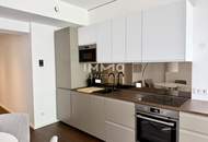 DANUBEFLATS: 42. Floor - möbliert: Den schönsten Ausblick mit Sonnenuntergang auf Kahlenberg