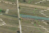 Wiese in Mörbisch, Blick über den ganzen Neusiedler See: 1219m²