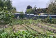Geräumiges Einfamilienhaus mit Blick auf Schloss Neuburg
