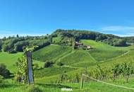 "Above it All" – Luxus-Apartment am Hochgrassnitzberg mit Aussicht und Anlagefaktor
