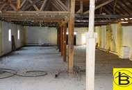 13749 Halle Nähe Neulengbach zu vermieten