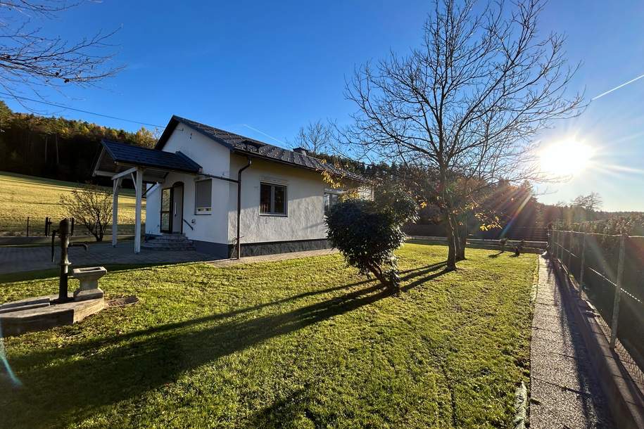 Exquisites Einfamilienhaus Kernsaniert mit Ausbaumöglichkeit in LKH Nähe (Provisionsfrei), Haus-kauf, 445.000,€, 8010 Graz-Umgebung