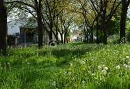 Viel Raum im Paradies