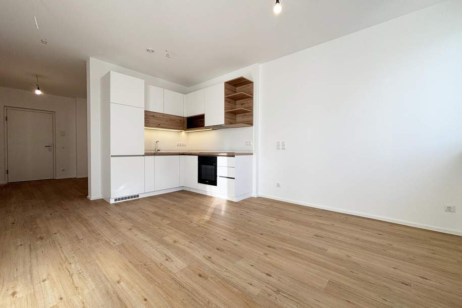 Erstbezug! Ihr neues Zuhause in Marchtrenk Top 1.5, Wohnung-miete, 727,74,€, 4614 Wels-Land