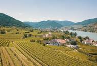 WEINGARTEN IN AUSSICHTSLAGE IM WEINBAUGEBIET WACHAU - WEINGARTEN, LANDWIRTSCHAFTLICHE FLÄCHEN - GRUNDSTÜCK IN DER WACHAU - KEIN BAUGRUNDSTÜCK!