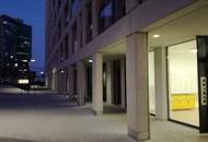 Frisch sanierte 3-Zimmer-Wohnung mit Loggia auf 105 m2 Wohnnutzfläche nahe der UNO-CITY!