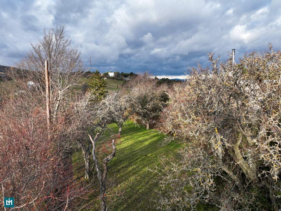 Traumhaftes Grundstück mit Hanglage und Blick auf die Weinberge