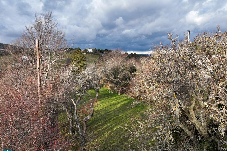 Traumhaftes Grundstück mit Hanglage und Blick auf die Weinberge, Grund und Boden-kauf, 995.000,€, 2380 Mödling