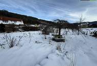 SANIERUNG 2025: Geräumiges Einfamilienhaus mit angeschlossener Kleinlandwirtschaft (Neben- und Stallgebäude) mit ca. 2.700 m² Grund