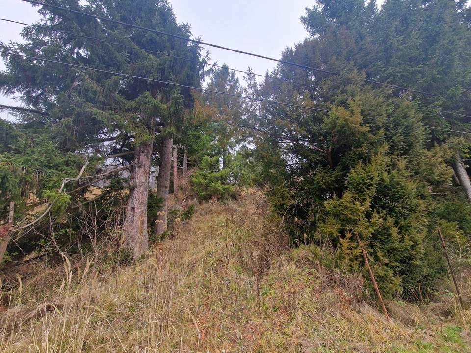 SONNIGE LEBENSQUALITÄT: ZWEI BAUGRUNDSTÜCKE IN WEIDLINGBACH MIT HOHER LEBENSQUALITÄT OHNE BAUZWANG